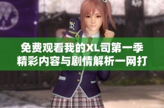 免费观看我的XL司第一季精彩内容与剧情解析一网打尽