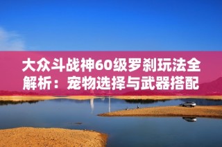 大众斗战神60级罗刹玩法全解析：宠物选择与武器搭配攻略