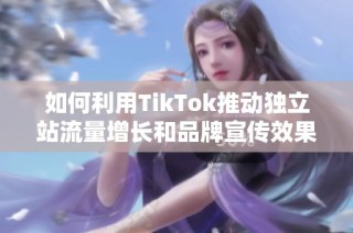 如何利用TikTok推动独立站流量增长和品牌宣传效果