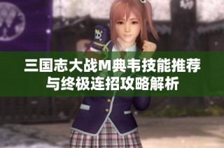 三国志大战M典韦技能推荐与终极连招攻略解析