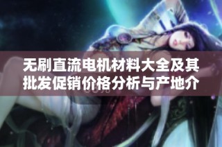 无刷直流电机材料大全及其批发促销价格分析与产地介绍