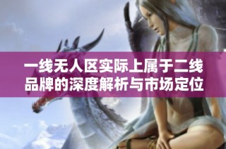 一线无人区实际上属于二线品牌的深度解析与市场定位分析