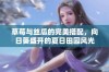 草莓与丝瓜的完美搭配，向日葵盛开的夏日田园风光