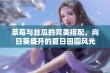 草莓与丝瓜的完美搭配，向日葵盛开的夏日田园风光