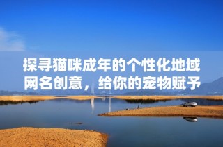 探寻猫咪成年的个性化地域网名创意，给你的宠物赋予独特身份