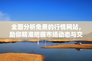 全面分析免费的行情网站，助你精准把握市场动态与交易机会