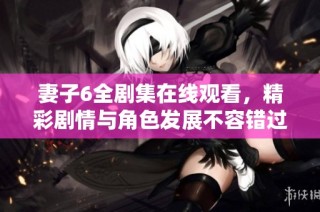 妻子6全剧集在线观看，精彩剧情与角色发展不容错过