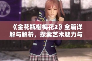 《金花瓶楷梅花2》全篇详解与解析，探索艺术魅力与文化传承