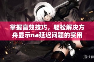 掌握高效技巧，轻松解决方舟显示na延迟问题的实用攻略