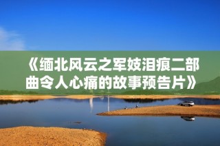 《缅北风云之军妓泪痕二部曲令人心痛的故事预告片》