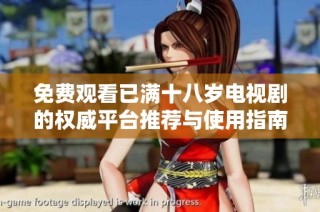 免费观看已满十八岁电视剧的权威平台推荐与使用指南
