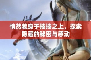 悄然藏身于捧捧之上，探索隐藏的秘密与感动