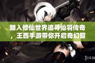踏入修仙世界追寻仙羽传奇，王西手游带你开启奇幻冒险之旅
