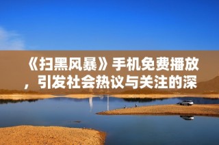 《扫黑风暴》手机免费播放，引发社会热议与关注的深度剖析
