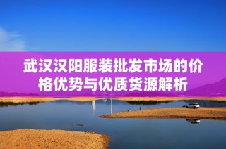 武汉汉阳服装批发市场的价格优势与优质货源解析