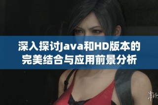 深入探讨Java和HD版本的完美结合与应用前景分析