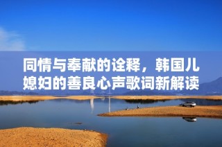 同情与奉献的诠释，韩国儿媳妇的善良心声歌词新解读