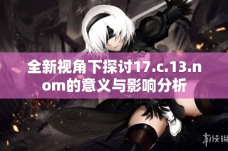 全新视角下探讨17.c.13.nom的意义与影响分析