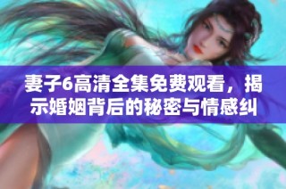 妻子6高清全集免费观看，揭示婚姻背后的秘密与情感纠葛