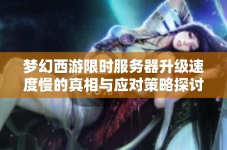 梦幻西游限时服务器升级速度慢的真相与应对策略探讨