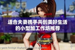 适合夫妻携手共创美好生活的小型加工作坊推荐