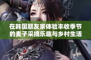 在韩国朋友家体验丰收季节的麦子采摘乐趣与乡村生活之美
