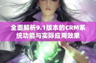 全面解析9.1版本的CRM系统功能与实际应用效果