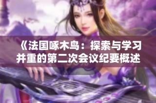 《法国啄木鸟：探索与学习并重的第二次会议纪要概述》