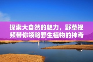 探索大自然的魅力，野草视频带你领略野生植物的神奇之美