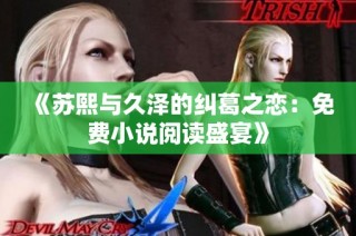 《苏熙与久泽的纠葛之恋：免费小说阅读盛宴》