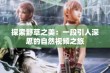 探索野草之美：一段引人深思的自然视频之旅