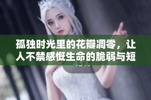 孤独时光里的花瓣凋零，让人不禁感慨生命的脆弱与短暂之美