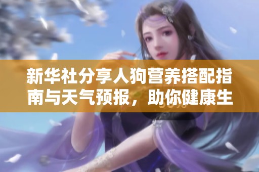 新华社分享人狗营养搭配指南与天气预报，助你健康生活与宠物幸福
