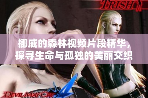 挪威的森林视频片段精华，探寻生命与孤独的美丽交织