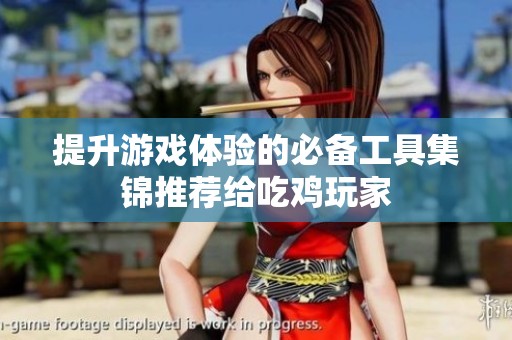 提升游戏体验的必备工具集锦推荐给吃鸡玩家