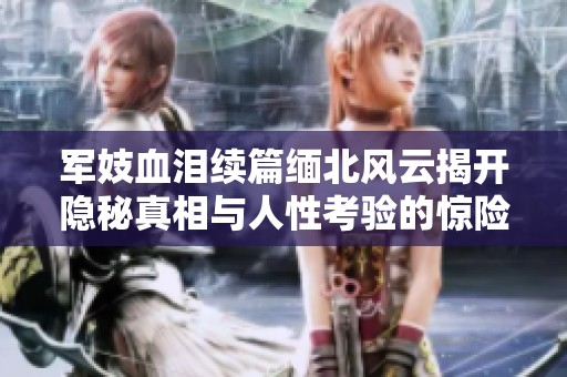 军妓血泪续篇缅北风云揭开隐秘真相与人性考验的惊险故事