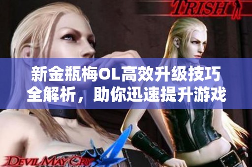 新金瓶梅OL高效升级技巧全解析，助你迅速提升游戏实力