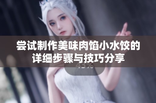 尝试制作美味肉馅小水饺的详细步骤与技巧分享
