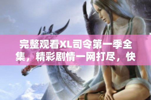 完整观看XL司令第一季全集，精彩剧情一网打尽，快来体验吧！