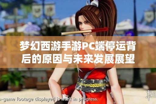 梦幻西游手游PC端停运背后的原因与未来发展展望