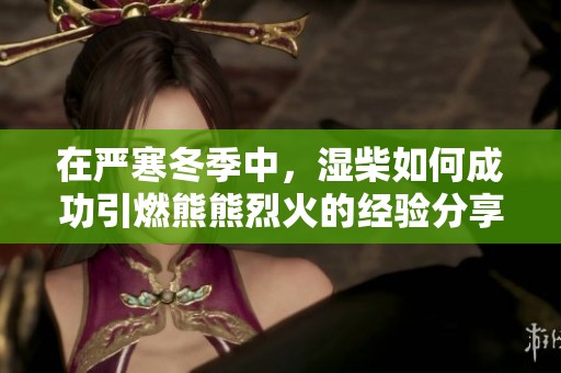 在严寒冬季中，湿柴如何成功引燃熊熊烈火的经验分享