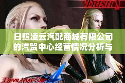 日照凌云汽配商城有限公司的汽贸中心经营情况分析与展望