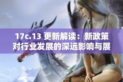 17c.13 更新解读：新政策对行业发展的深远影响与展望