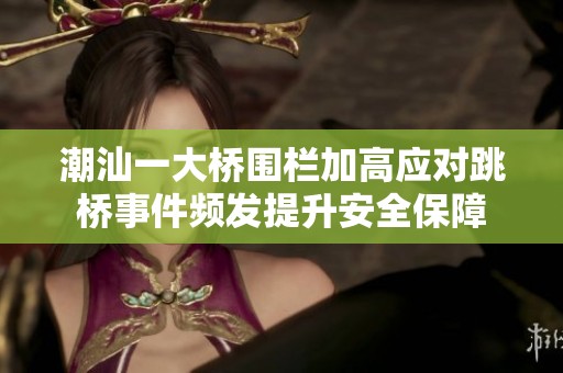 潮汕一大桥围栏加高应对跳桥事件频发提升安全保障