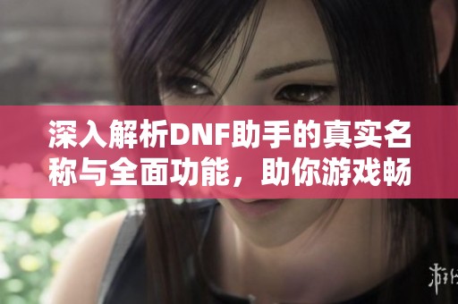 深入解析DNF助手的真实名称与全面功能，助你游戏畅行无阻