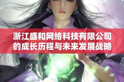 浙江盛和网络科技有限公司的成长历程与未来发展战略分析