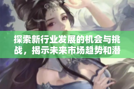 探索新行业发展的机会与挑战，揭示未来市场趋势和潜力