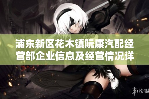 浦东新区花木镇阮康汽配经营部企业信息及经营情况详解