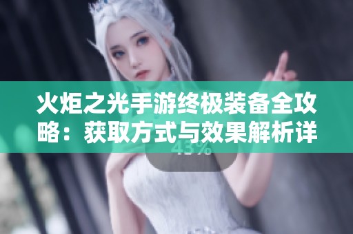 火炬之光手游终极装备全攻略：获取方式与效果解析详解