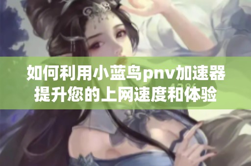 如何利用小蓝鸟pnv加速器提升您的上网速度和体验
